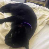 Thumbnail photo of Cloudy #3