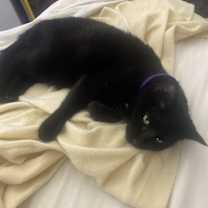 Thumbnail photo of Cloudy #4