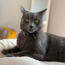 Thumbnail photo of Theo #3