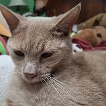 Thumbnail photo of Maynard #2