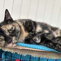 Thumbnail photo of Autumn #4