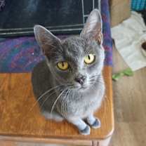 Thumbnail photo of Ashlee #1