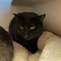 Thumbnail photo of Luca #2