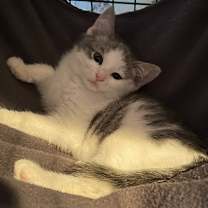 Thumbnail photo of Billie #3