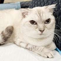 Thumbnail photo of Anders #2