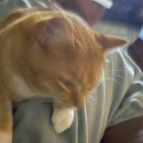 Thumbnail photo of Oliver #3