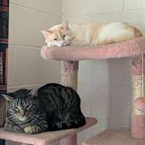 Thumbnail photo of Rocket #4