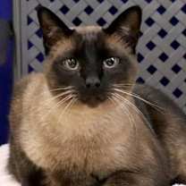 Thumbnail photo of Mister #1