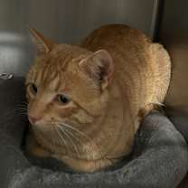 Thumbnail photo of Tumblr #2