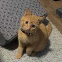 Thumbnail photo of Times Square #4