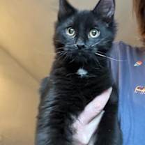 Thumbnail photo of Bryce #1