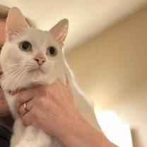 Thumbnail photo of Roosevelt #1