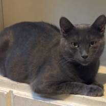 Thumbnail photo of Avril #1