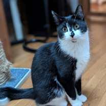 Thumbnail photo of Wayne #3