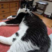 Thumbnail photo of Wayne #4