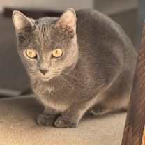 Thumbnail photo of Orlando #2