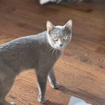 Thumbnail photo of Orlando #3