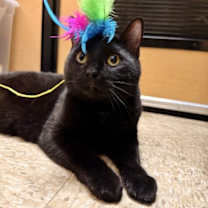 Thumbnail photo of Boyd #1