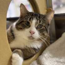 Thumbnail photo of Dory #1