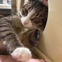 Thumbnail photo of Dory #2