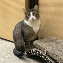 Thumbnail photo of Dory #4