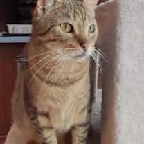 Thumbnail photo of Marcus #4