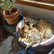 Thumbnail photo of Landon #1