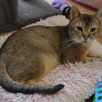 Thumbnail photo of Landon #2