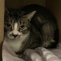 Thumbnail photo of Dolly #1