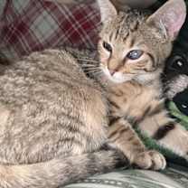 Thumbnail photo of Alyla #2