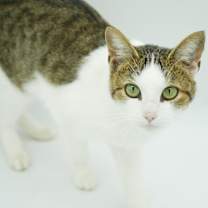 Thumbnail photo of Penelope #2