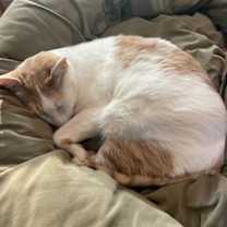 Thumbnail photo of Bernie #2