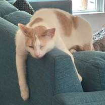 Thumbnail photo of Bernie #3