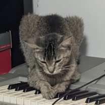 Thumbnail photo of Salma #2