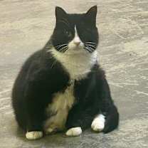 Thumbnail photo of Willie #1