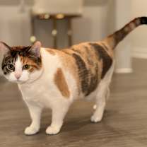 Thumbnail photo of Keko #2