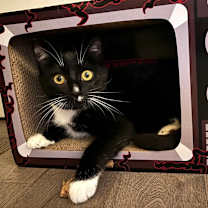 Thumbnail photo of Slurpie  #2