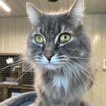 Thumbnail photo of Monty #2