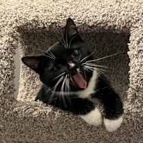 Thumbnail photo of Slurpie  #3