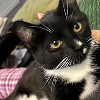 Thumbnail photo of Slurpie  #4