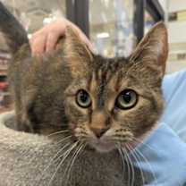 Thumbnail photo of Mocha #2