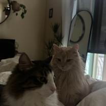 Thumbnail photo of Sage #3