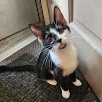 Thumbnail photo of Flurry #3