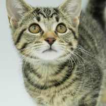 Thumbnail photo of Bertha #1