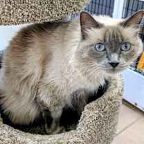 Thumbnail photo of Pang #4