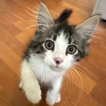 Thumbnail photo of Marco #2