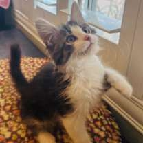 Thumbnail photo of Marco #3