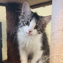 Thumbnail photo of Marco #4