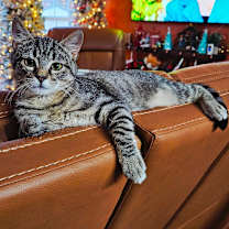 Thumbnail photo of 1125-62 Fred #2