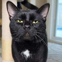 Thumbnail photo of Moe #1